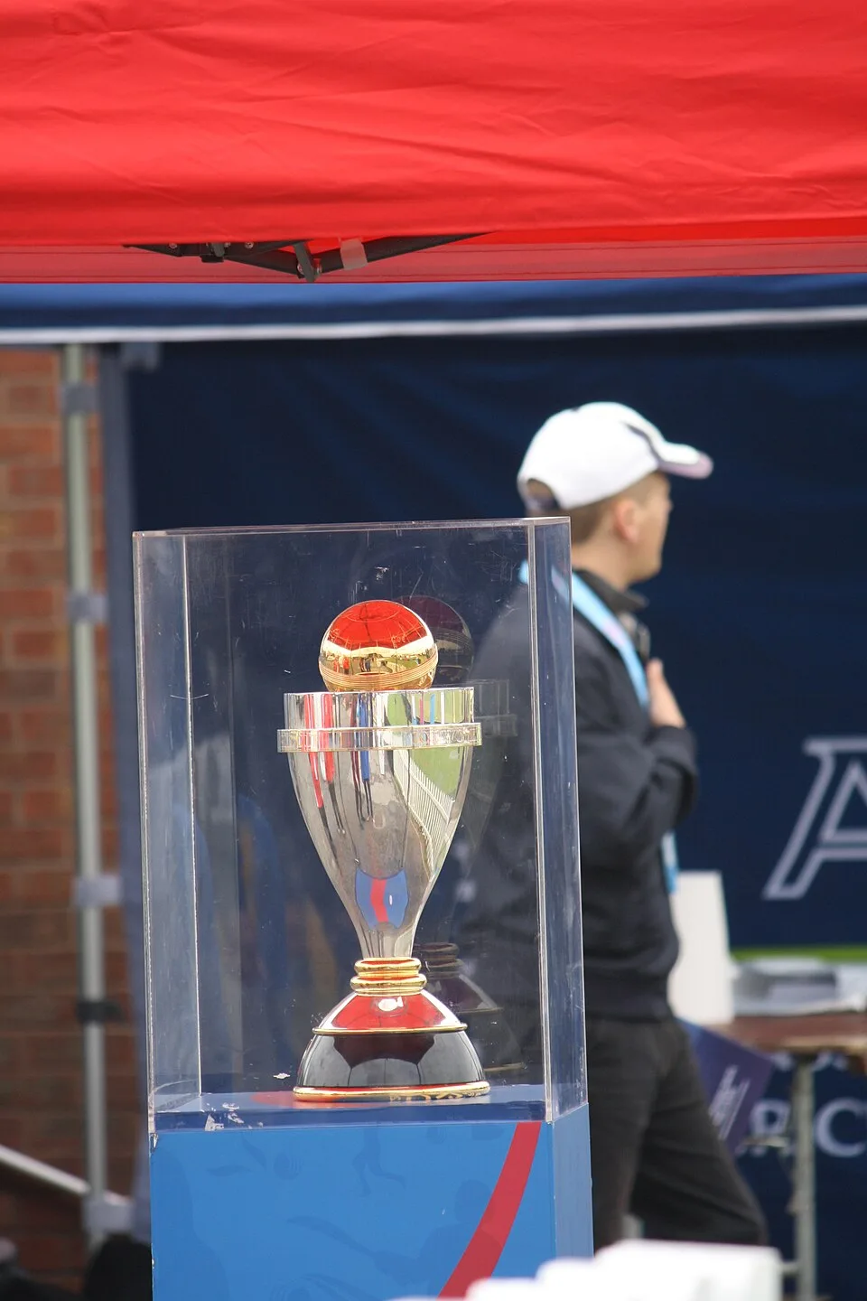 The Women's Cricket World Cup trophy on display. CC0 sample; not Tailor academy photography.