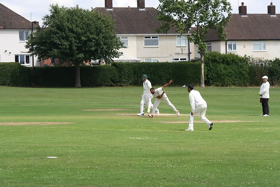A batter, wicketkeeper and close fielder ready for a delivery. CC0 sample; not Tailor academy photography.